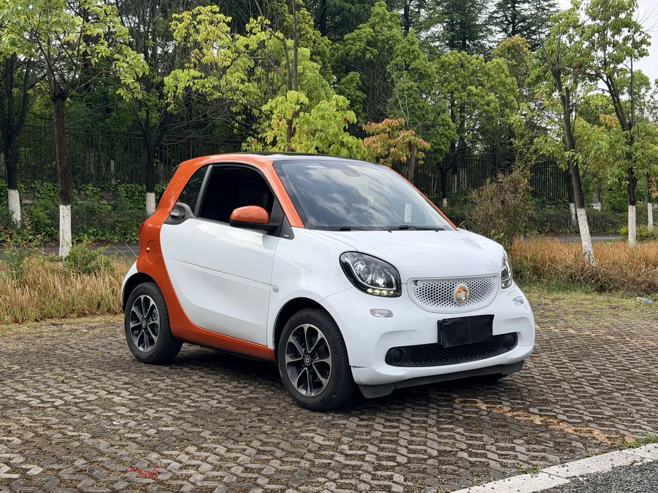 Smart fortwo