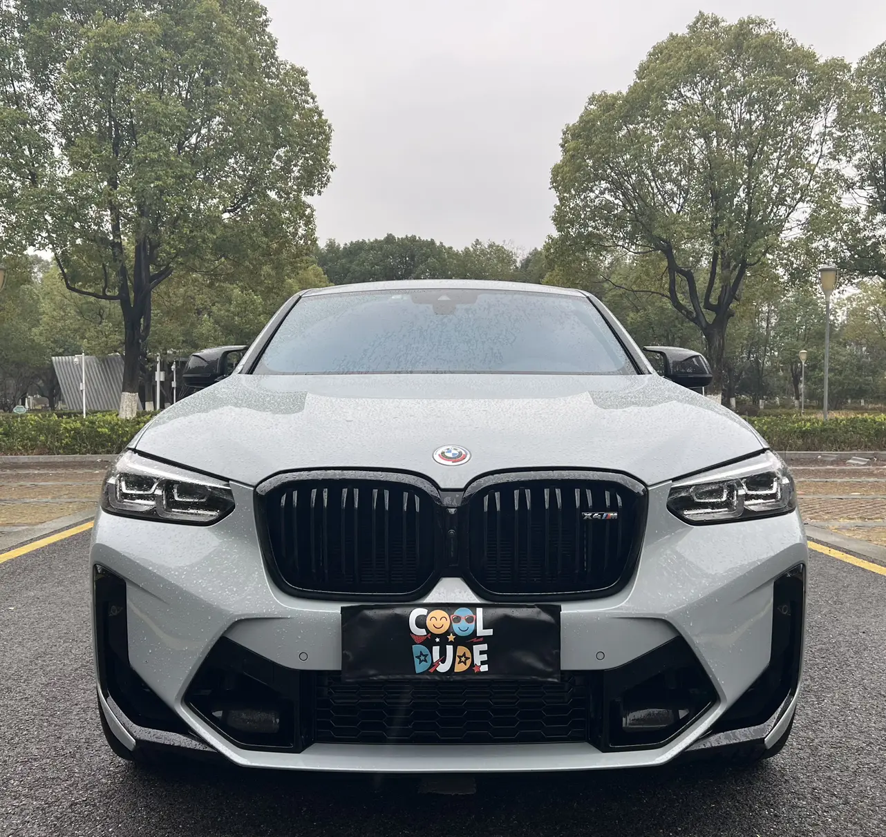 BMW X4 M