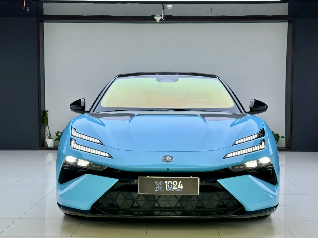 Lotus Emeya