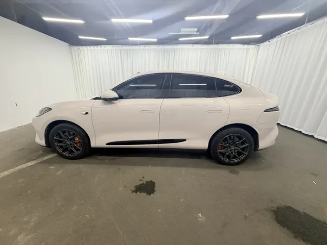 IM Motors LS6