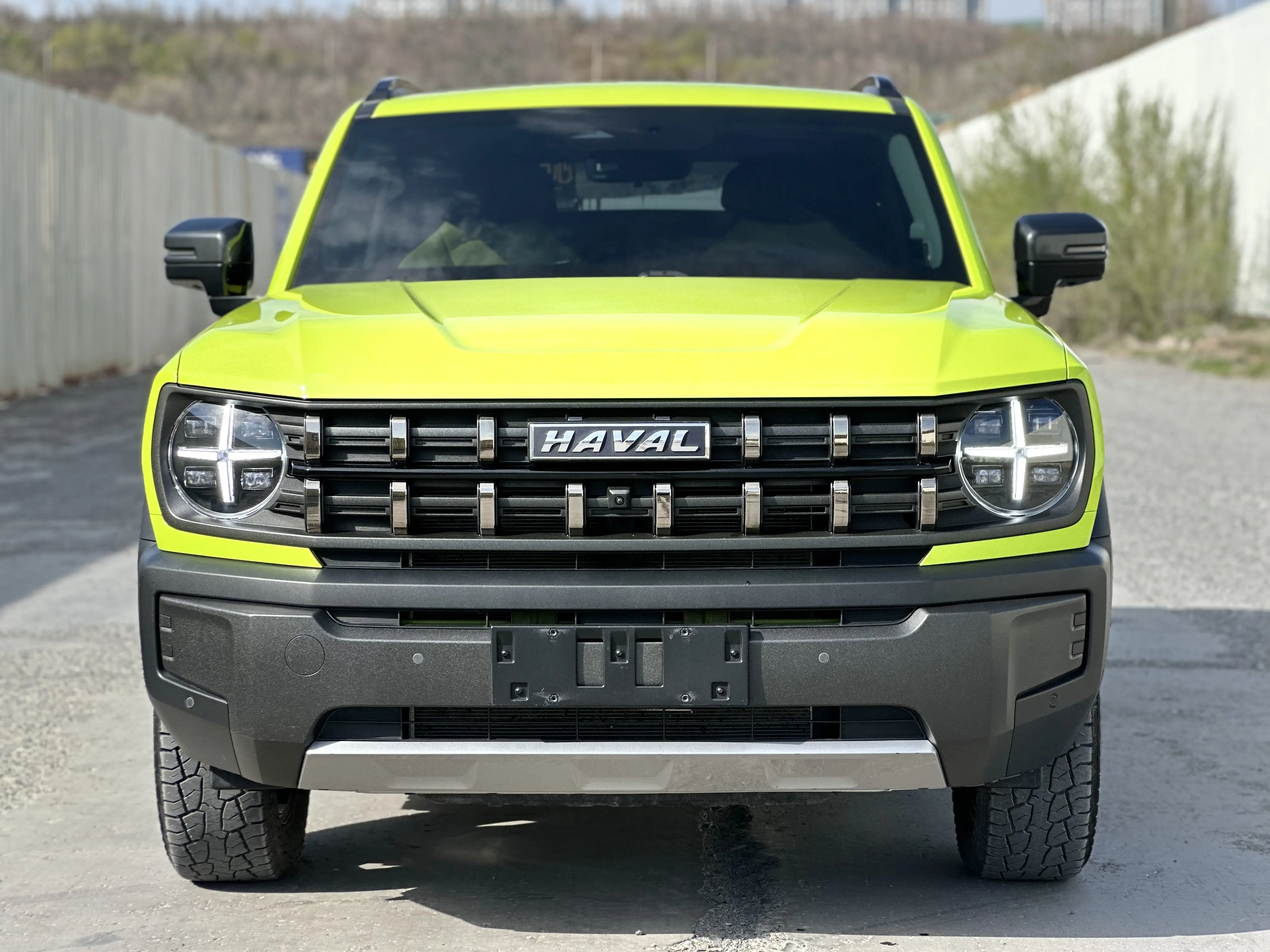 Haval cool dog