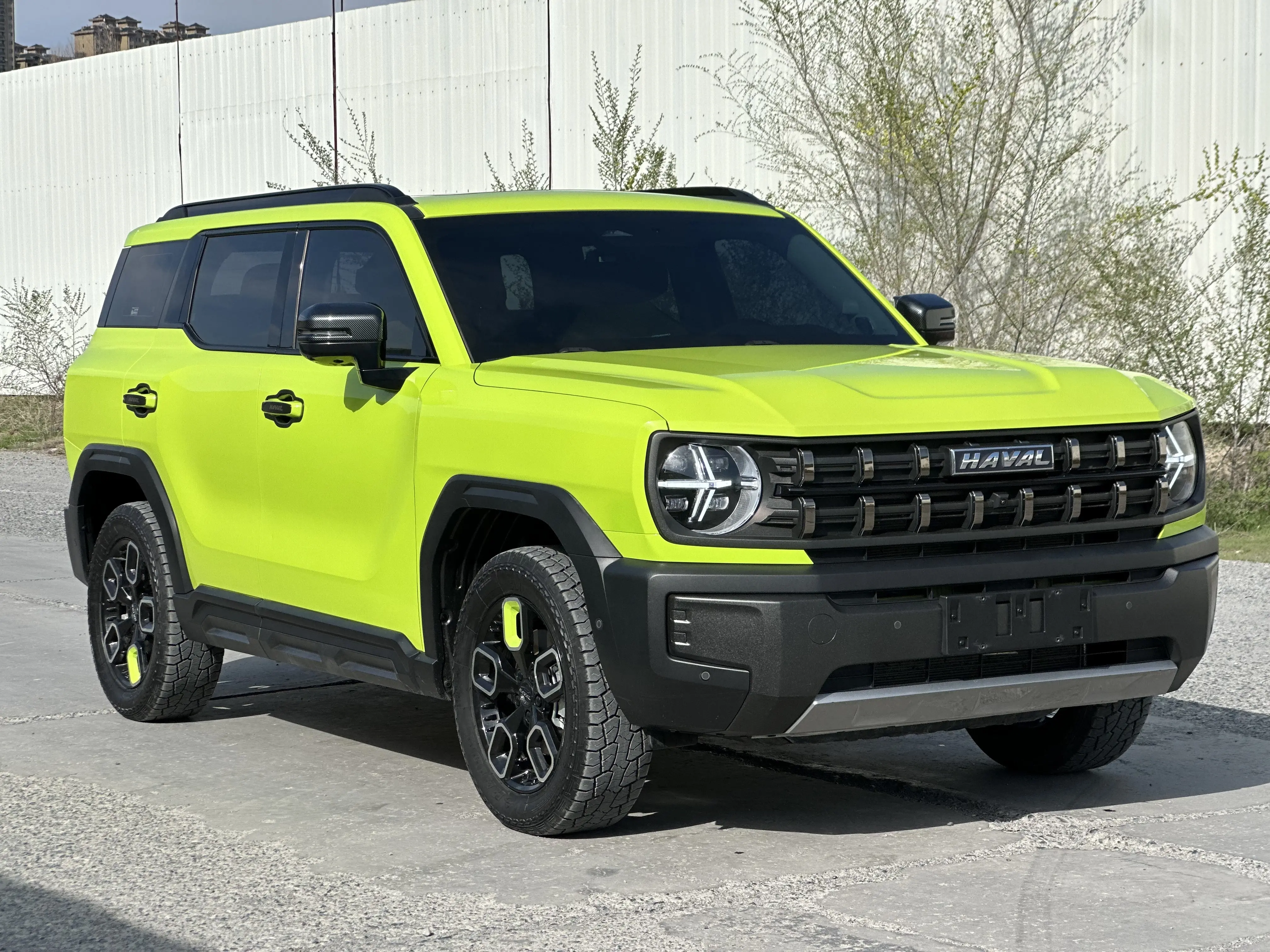 Haval cool dog