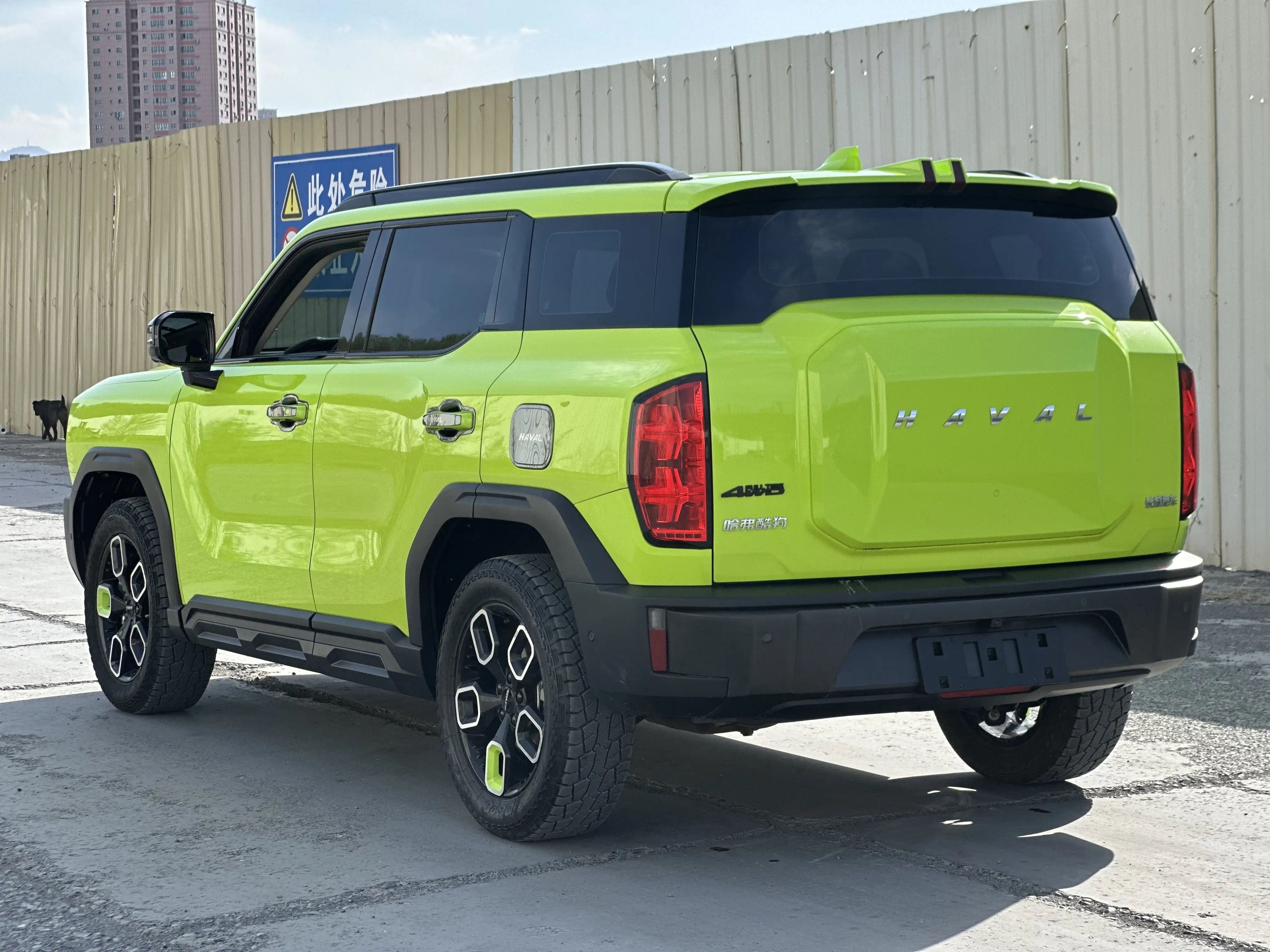 Haval cool dog