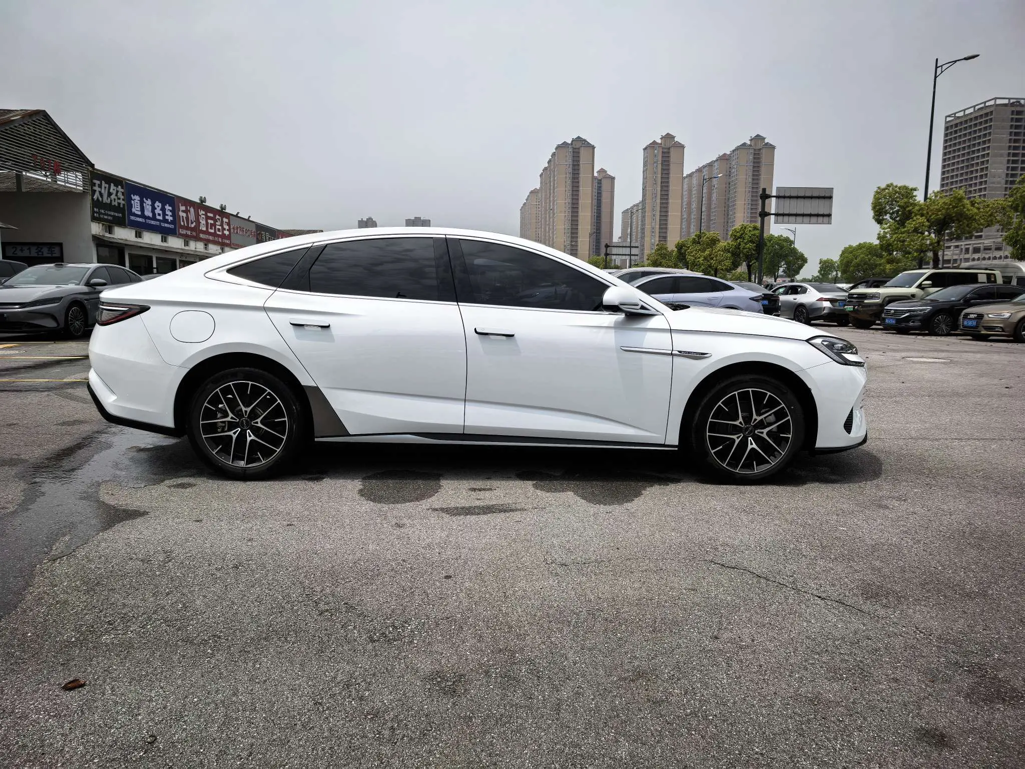 BYD Seal DM