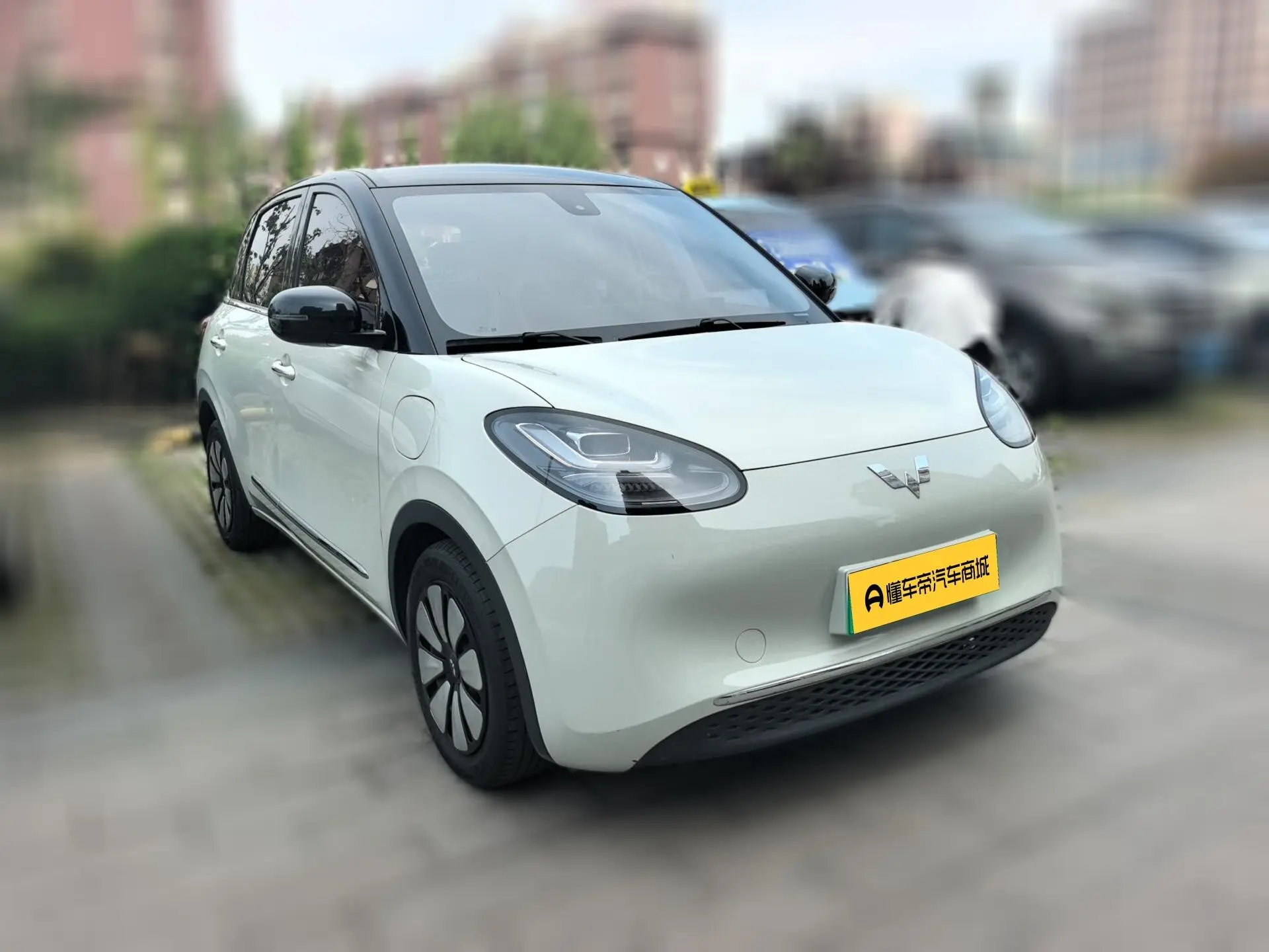 Wuling Bingo