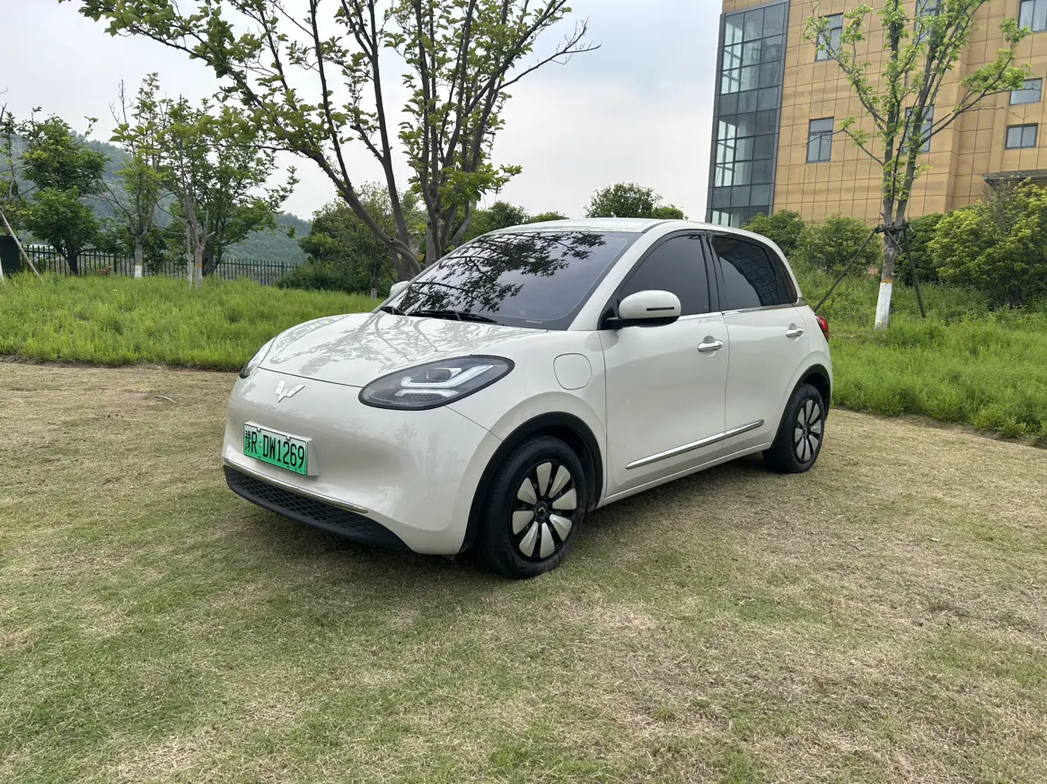 Wuling Bingo