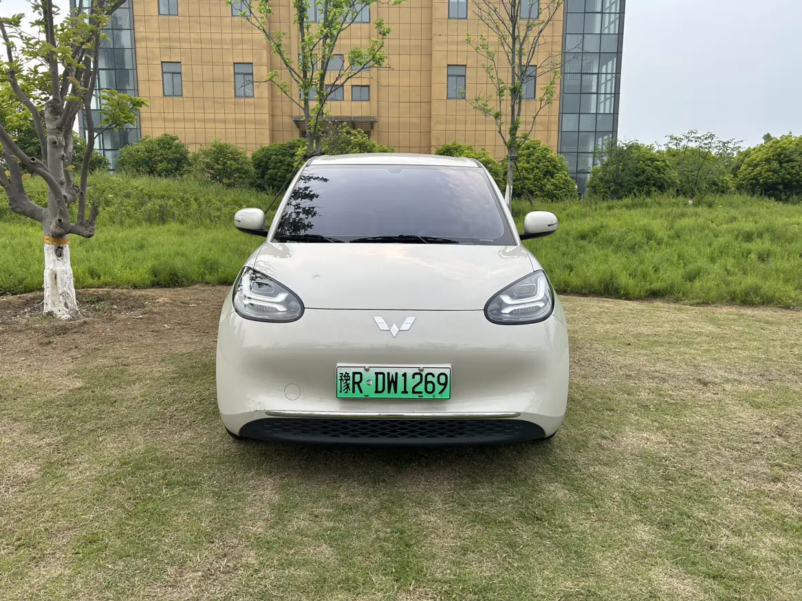 Wuling Bingo