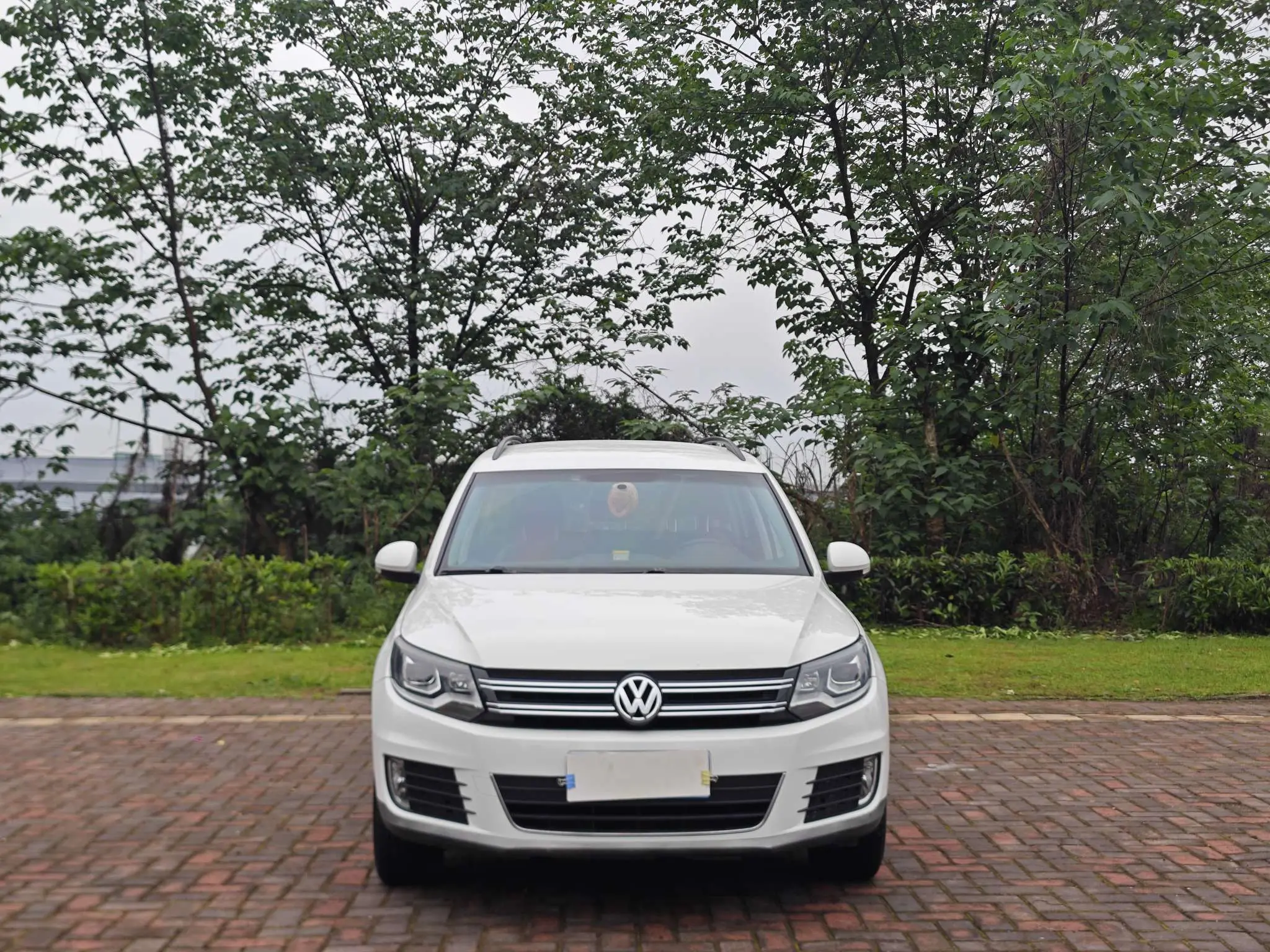 Volkswagen Tiguan (Tharu)