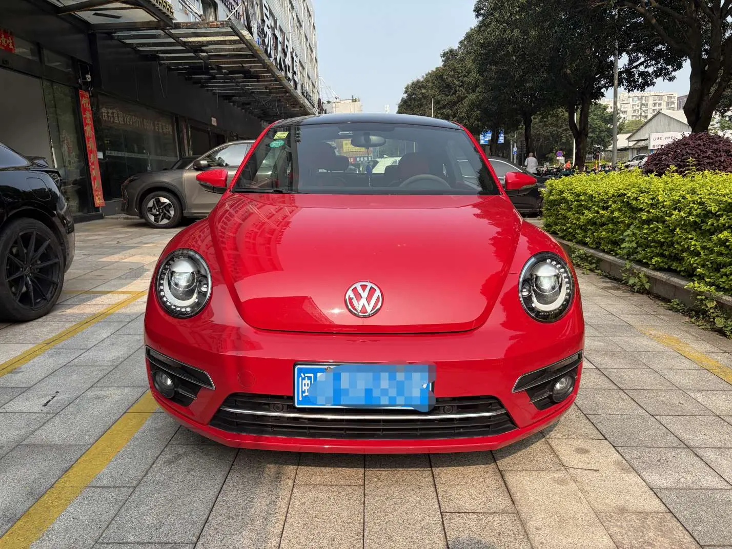 Volkswagen Beetle