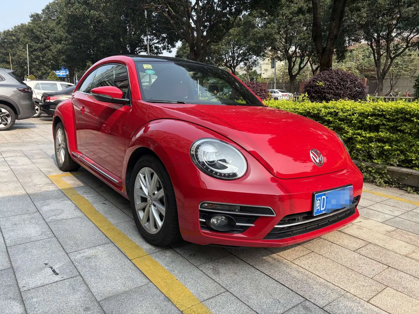 Volkswagen Beetle