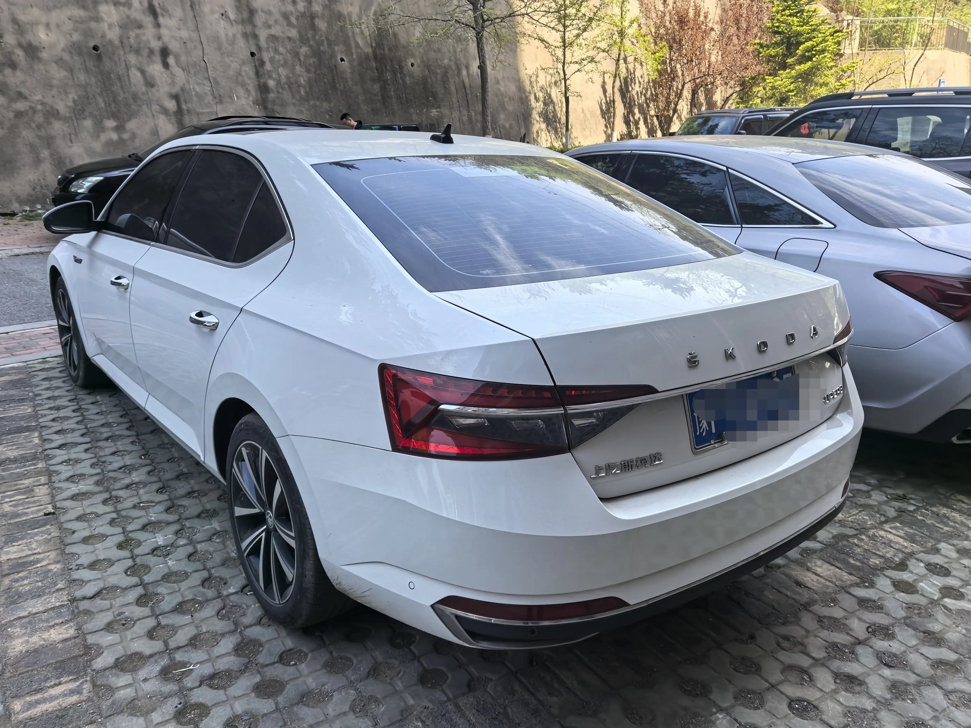 Skoda Speedy