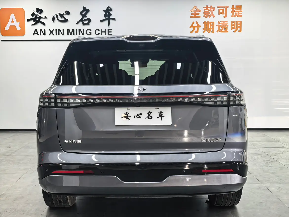 Dongfeng Yipai 008