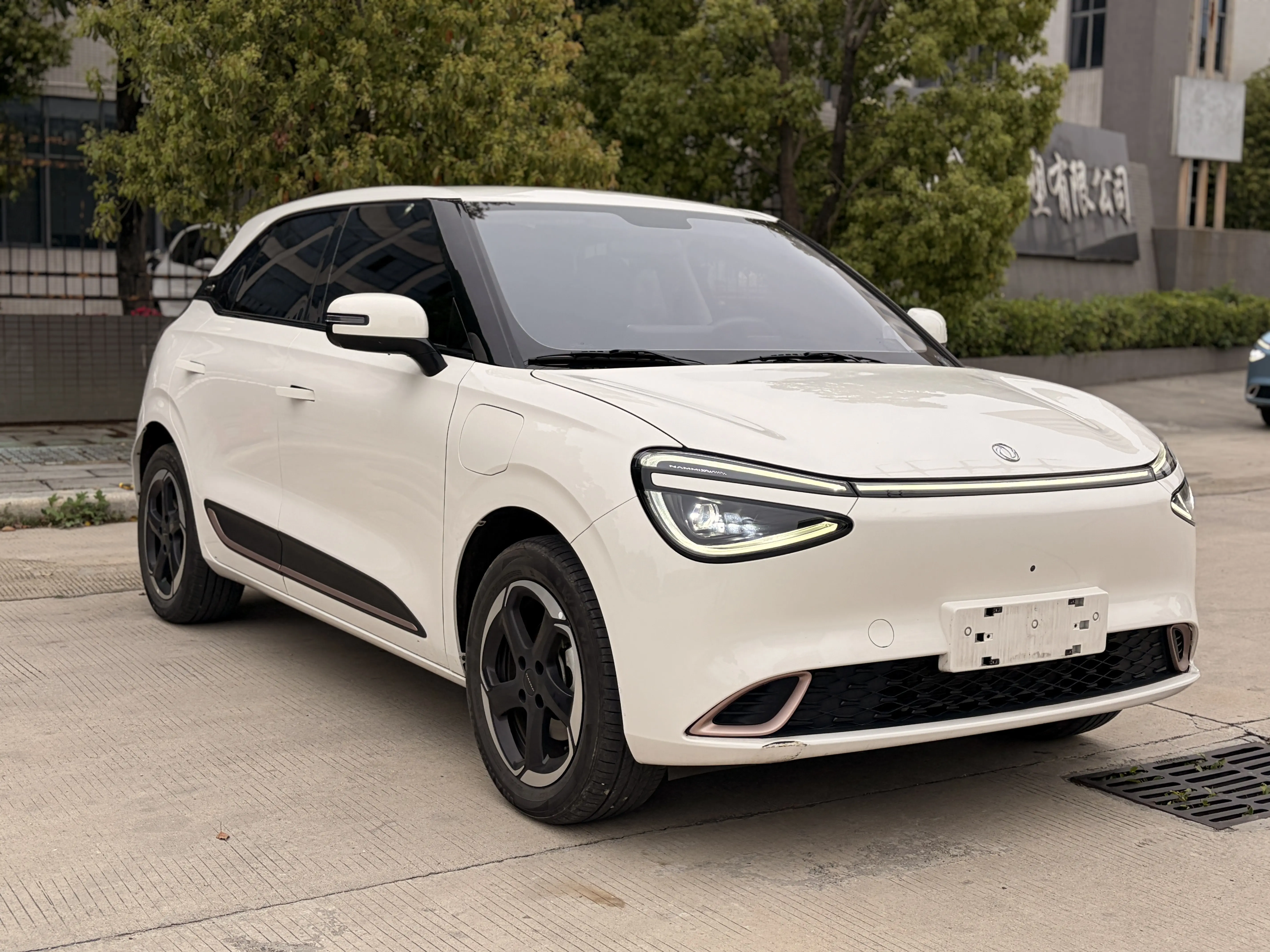 Dongfeng Nano 01