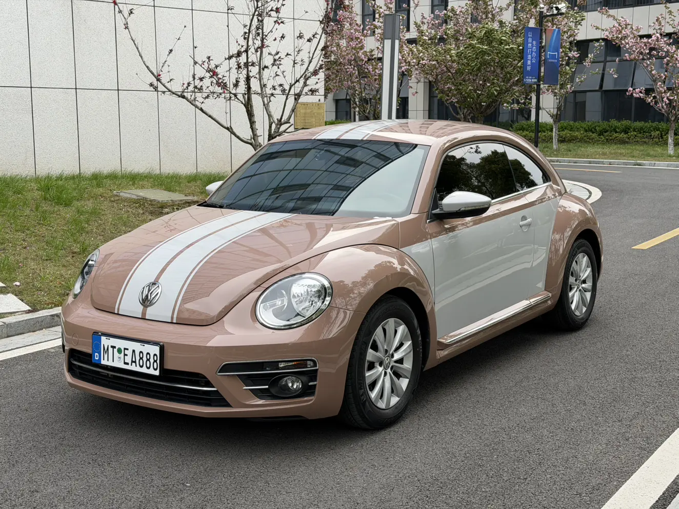 Volkswagen Beetle