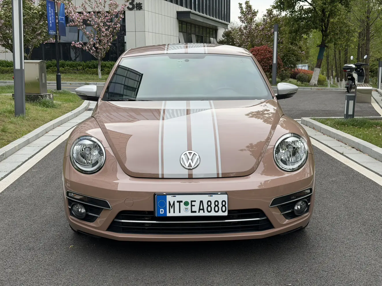 Volkswagen Beetle