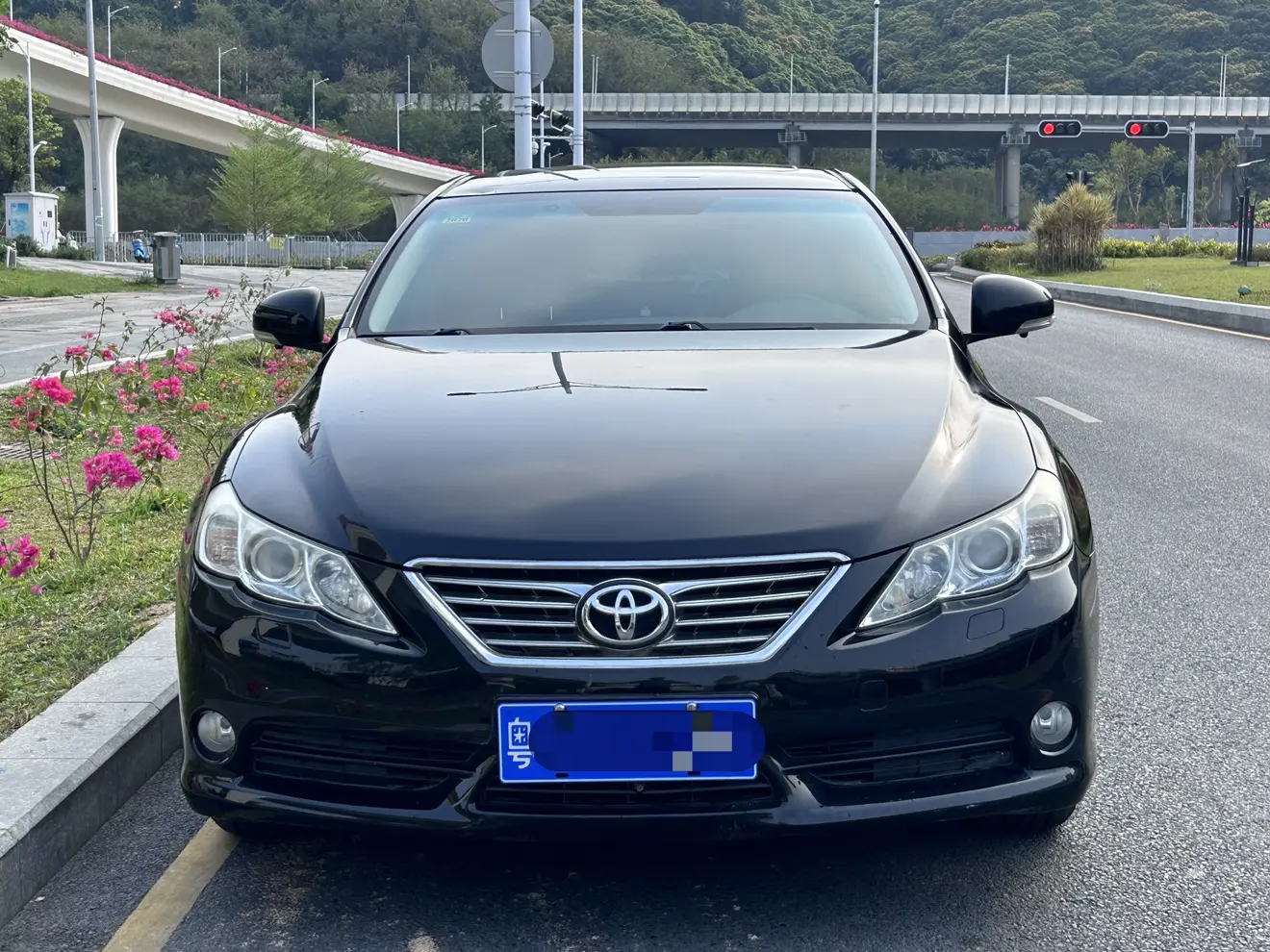 Toyota Ruizhi