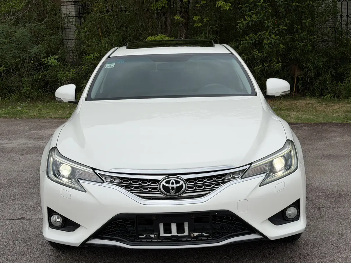 Toyota Ruizhi