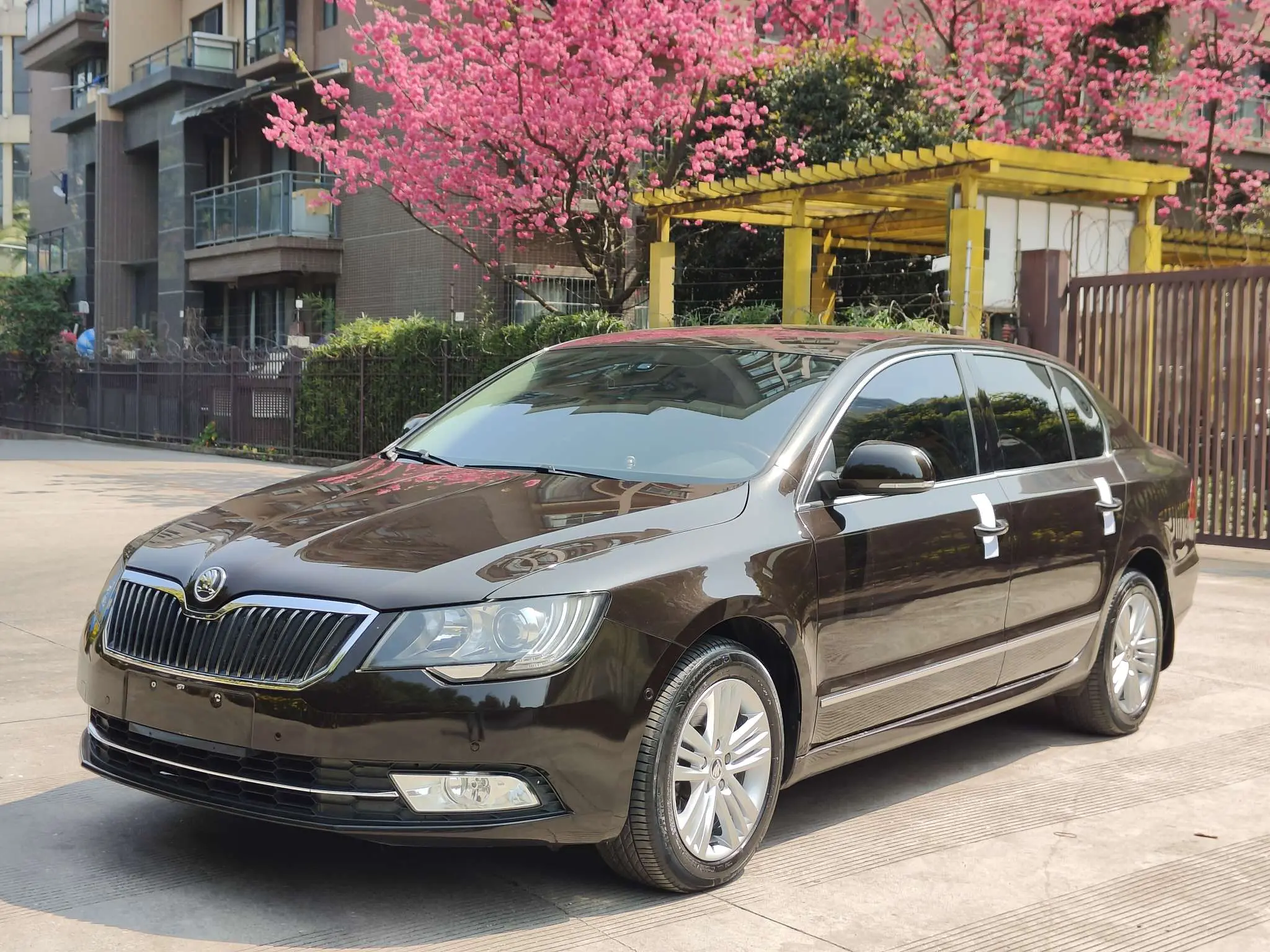 Skoda Speedy