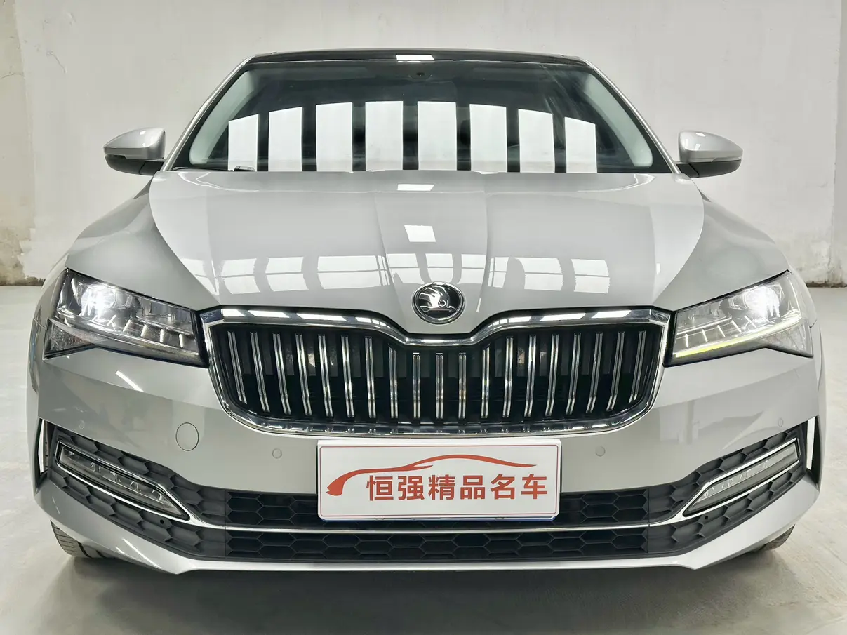 Skoda Speedy