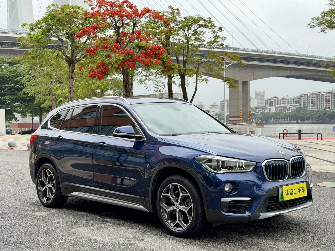 BMW X1 PHEV