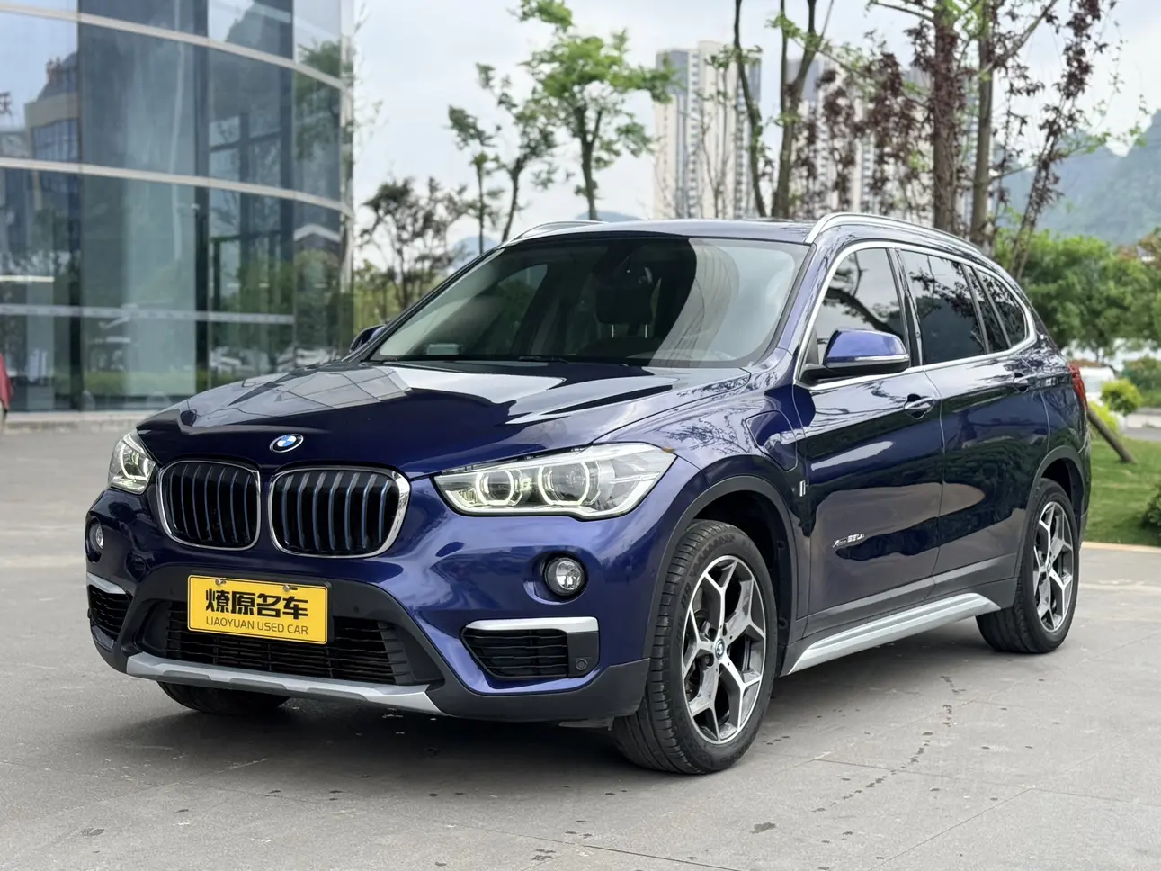 BMW X1 PHEV