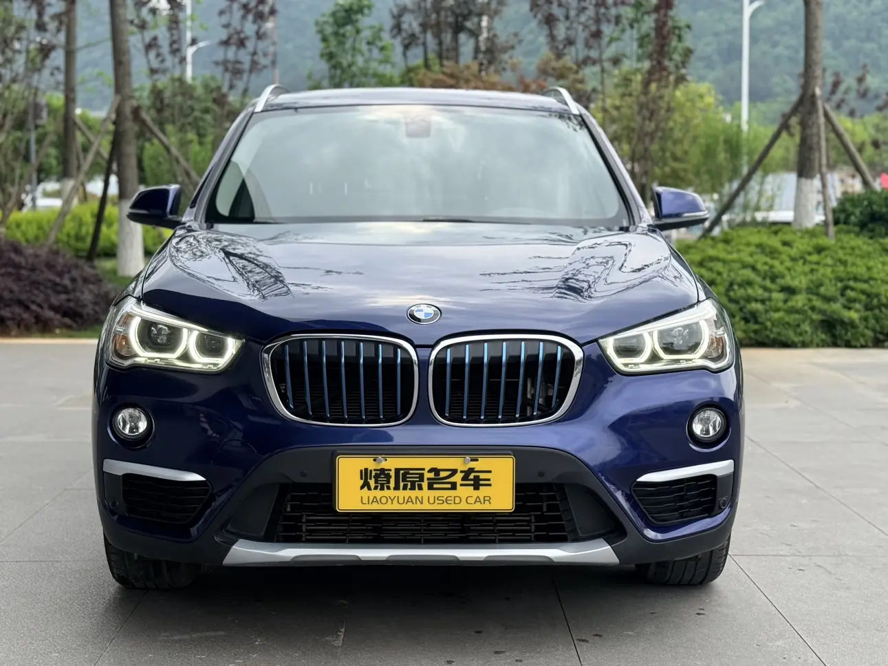 BMW X1 PHEV