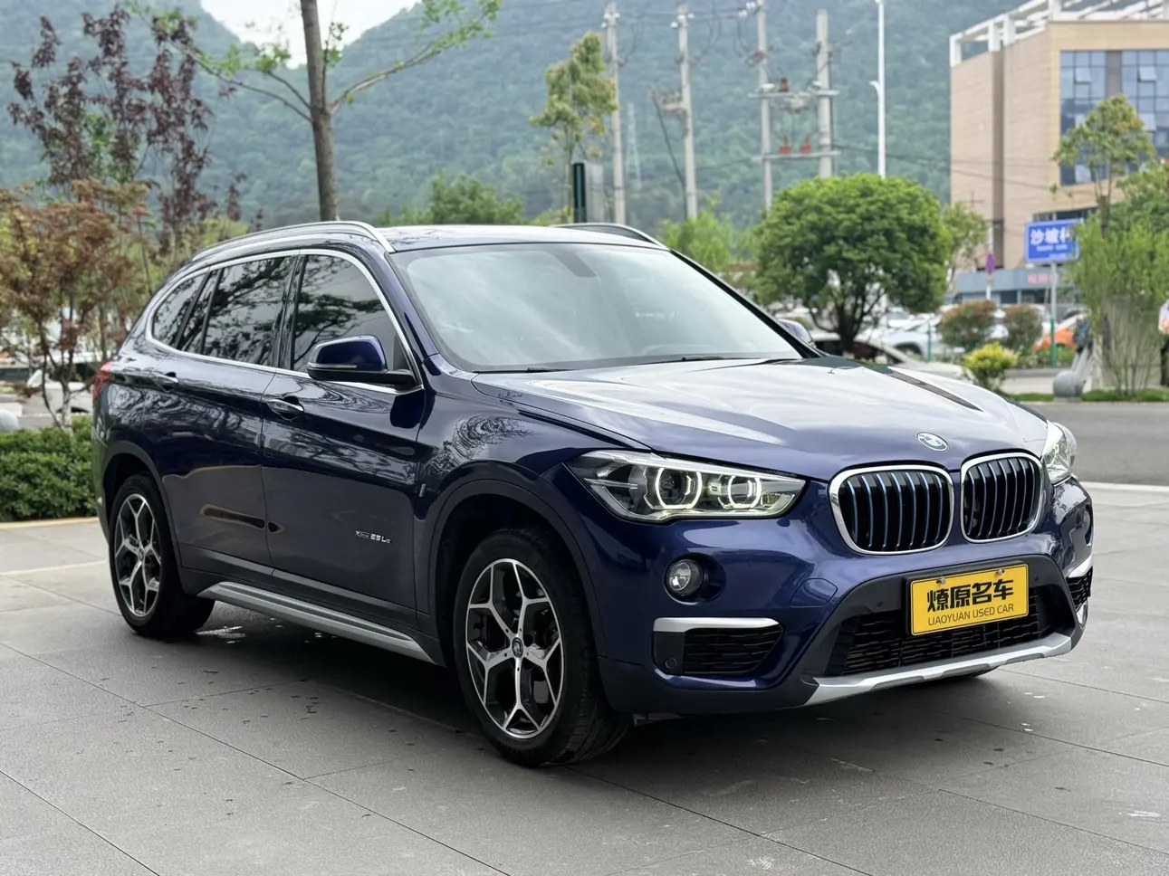 BMW X1 PHEV