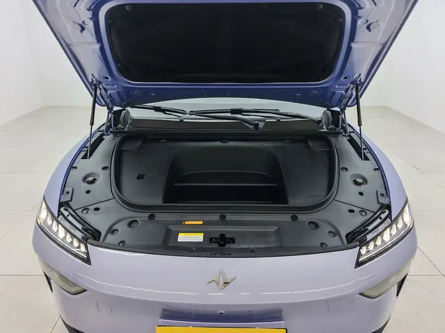 Dongfeng Yipai 007