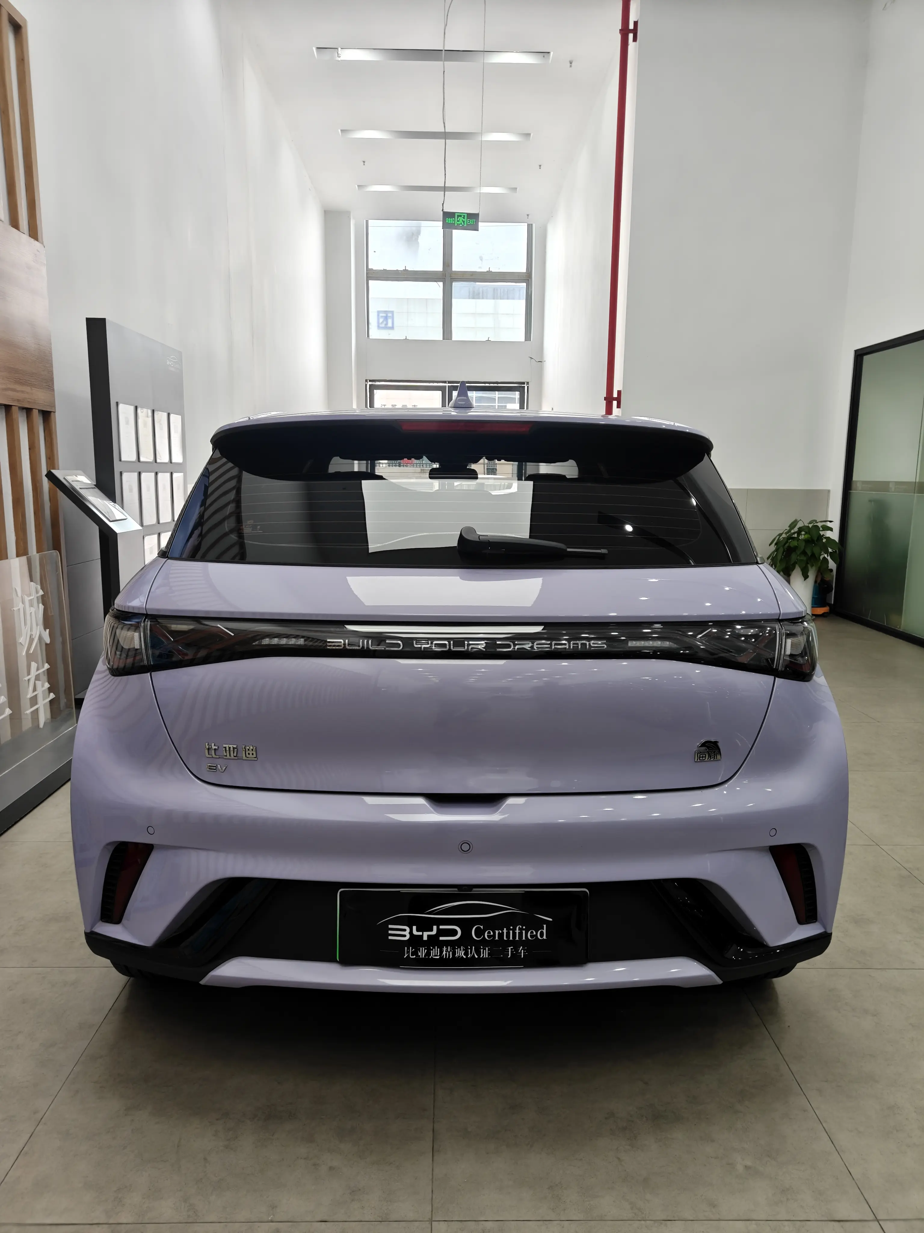 BYD Dolphin
