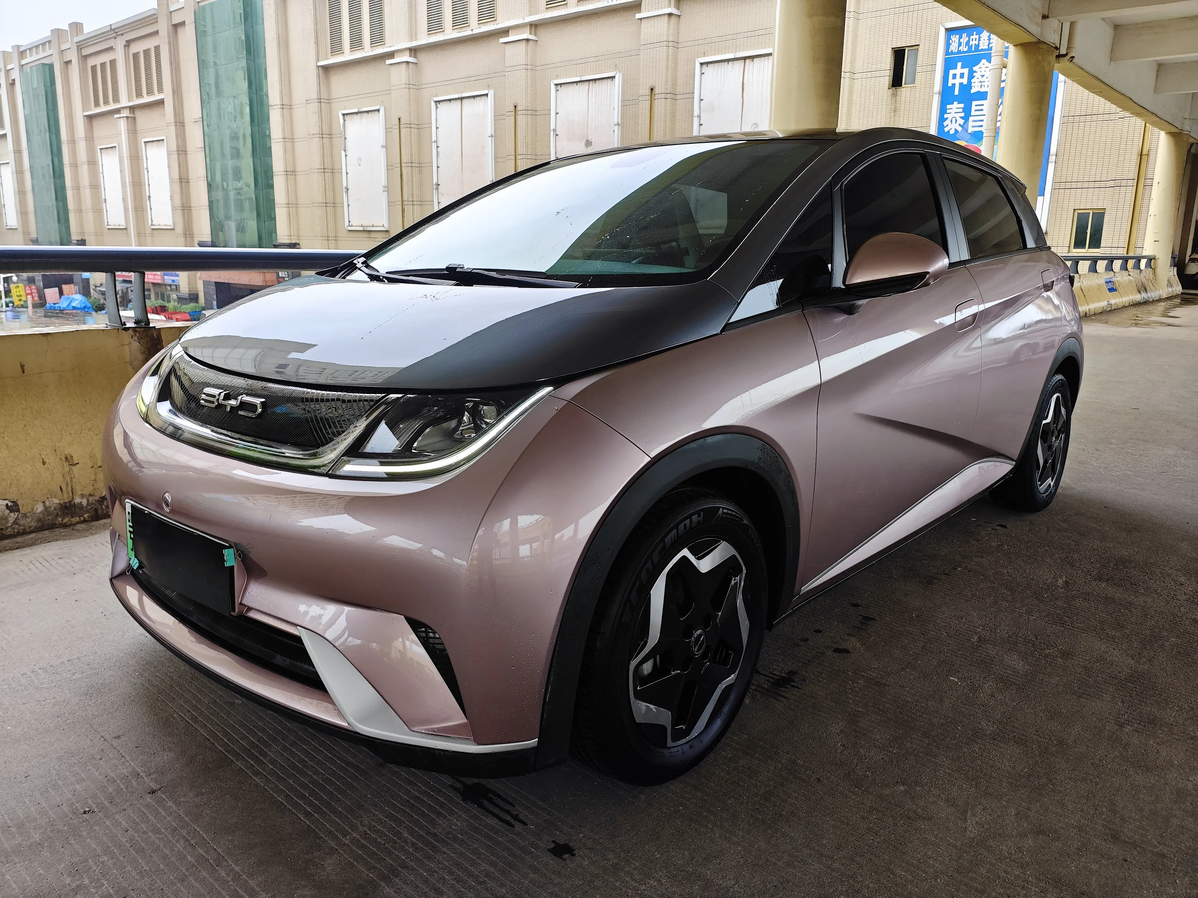 BYD dolphin