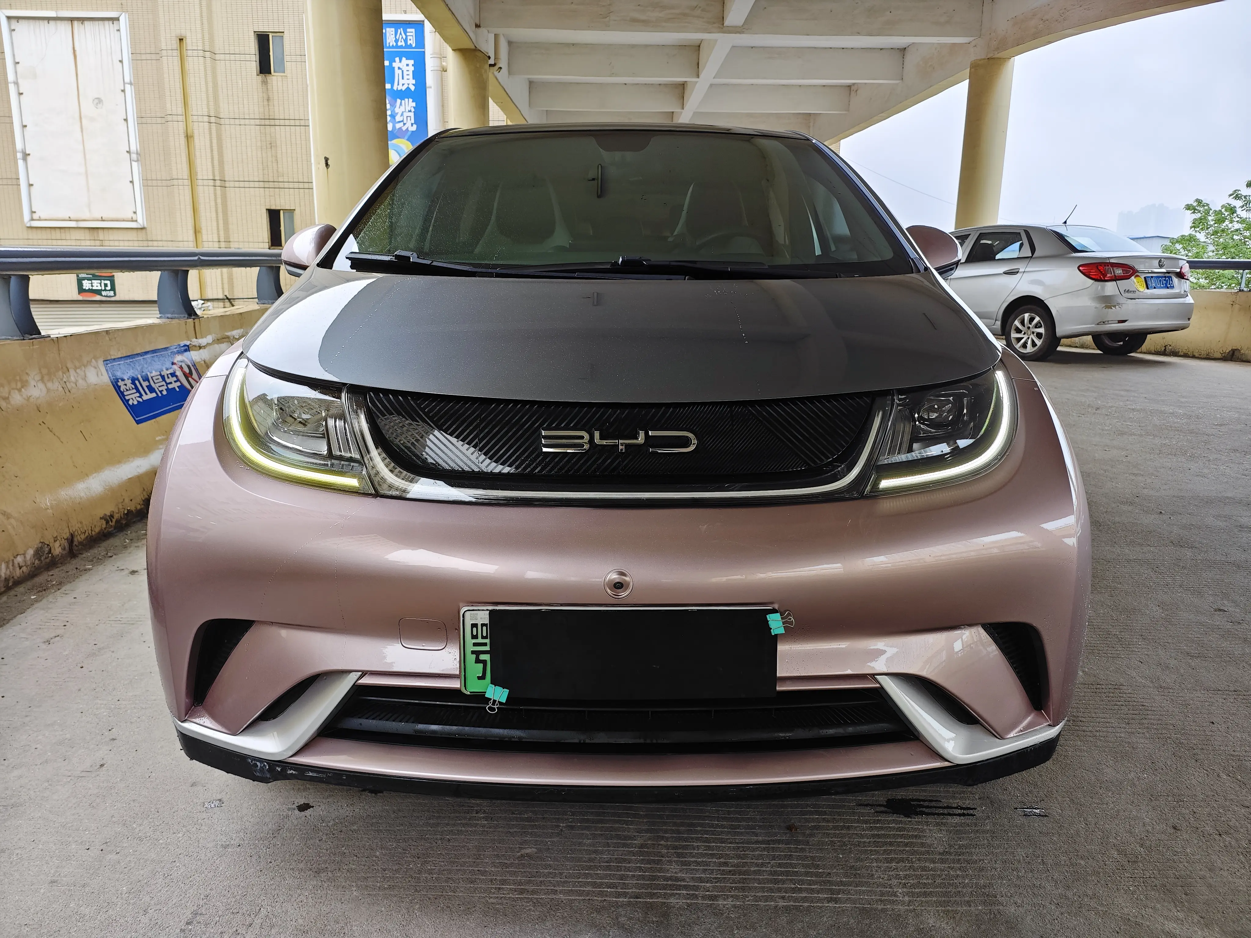 BYD dolphin