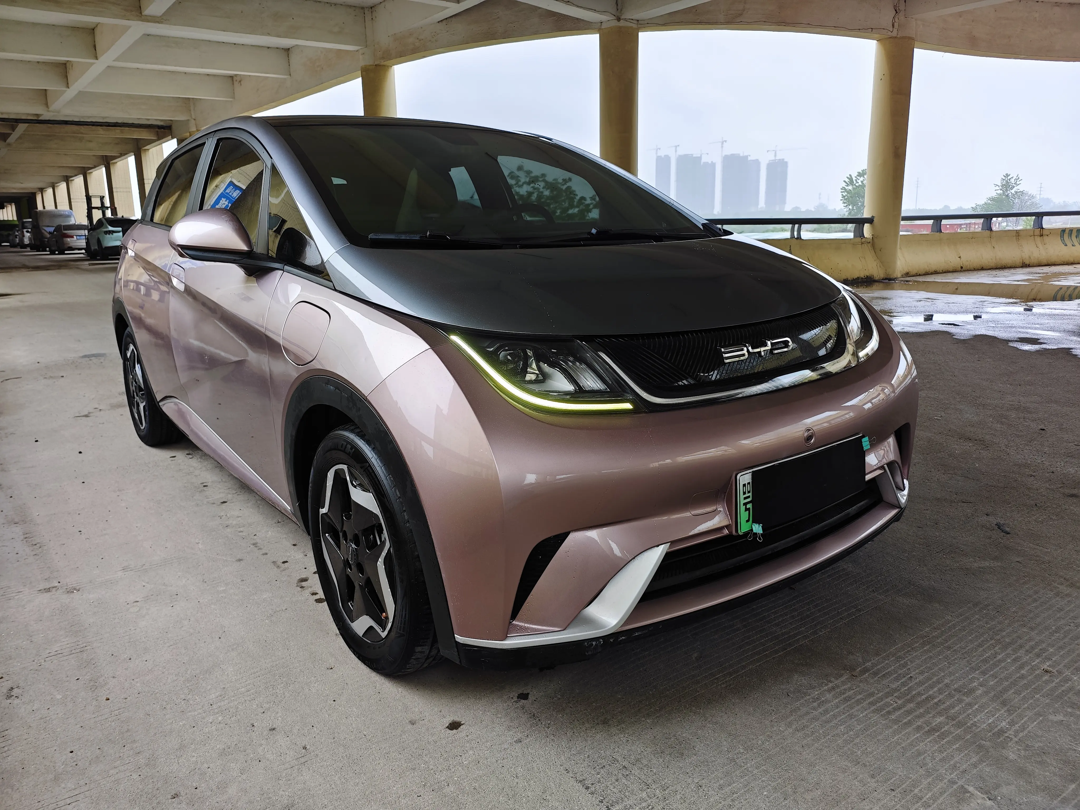BYD dolphin