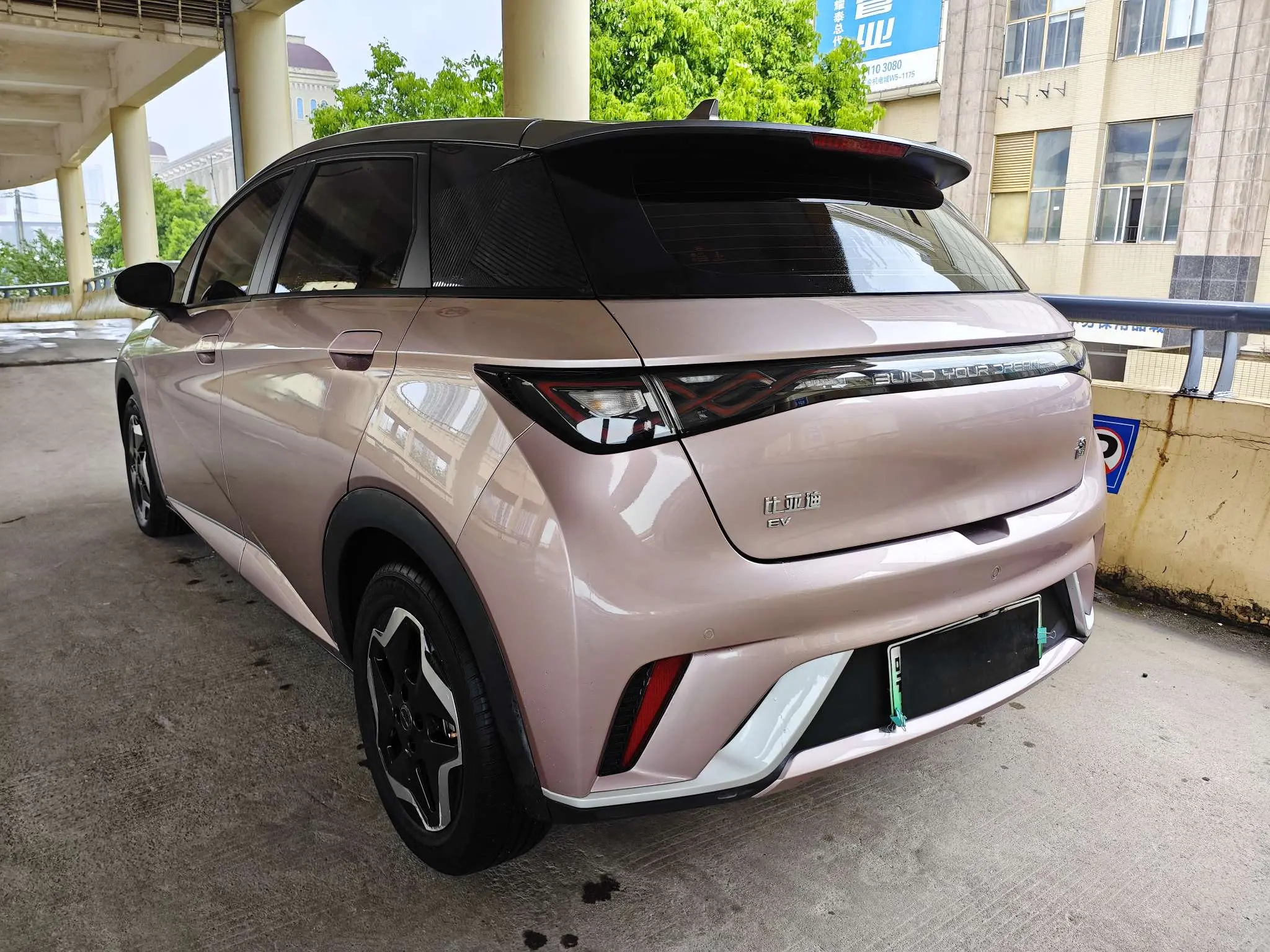 BYD dolphin