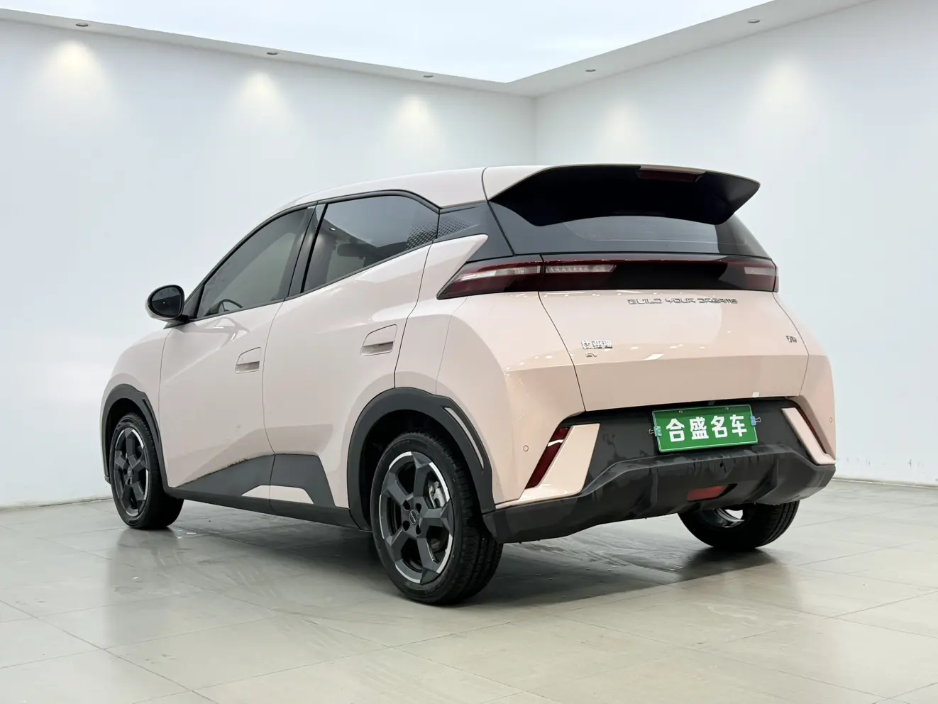 BYD Seagull