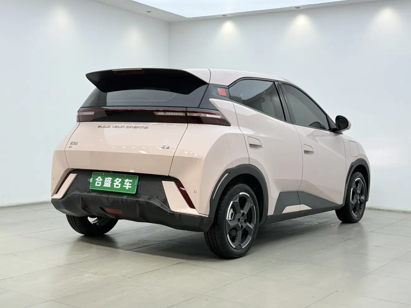 BYD Seagull