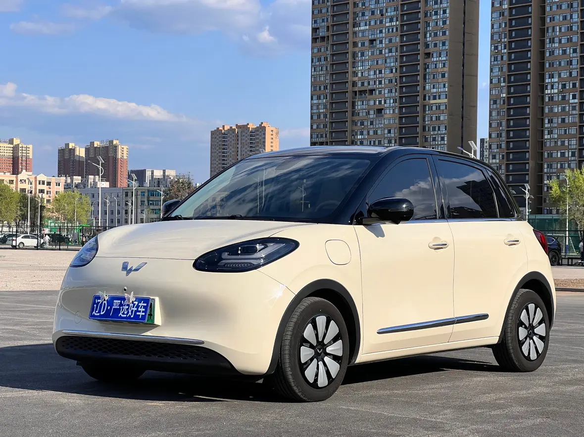 Wuling Bingo