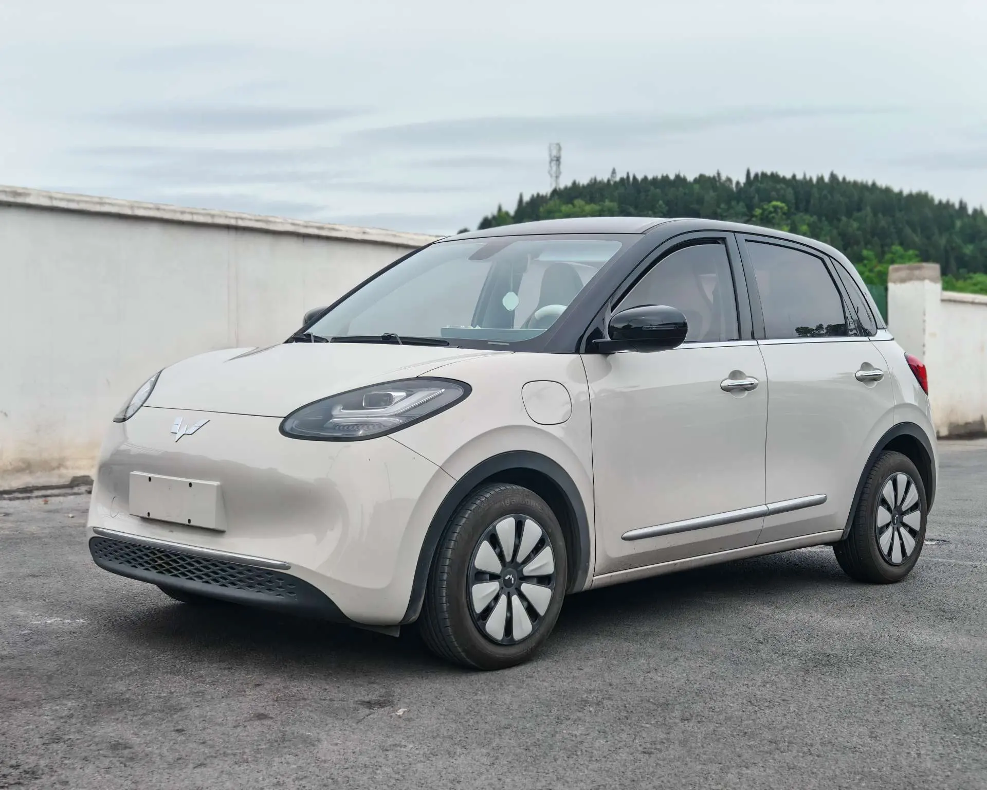 Wuling Bingo