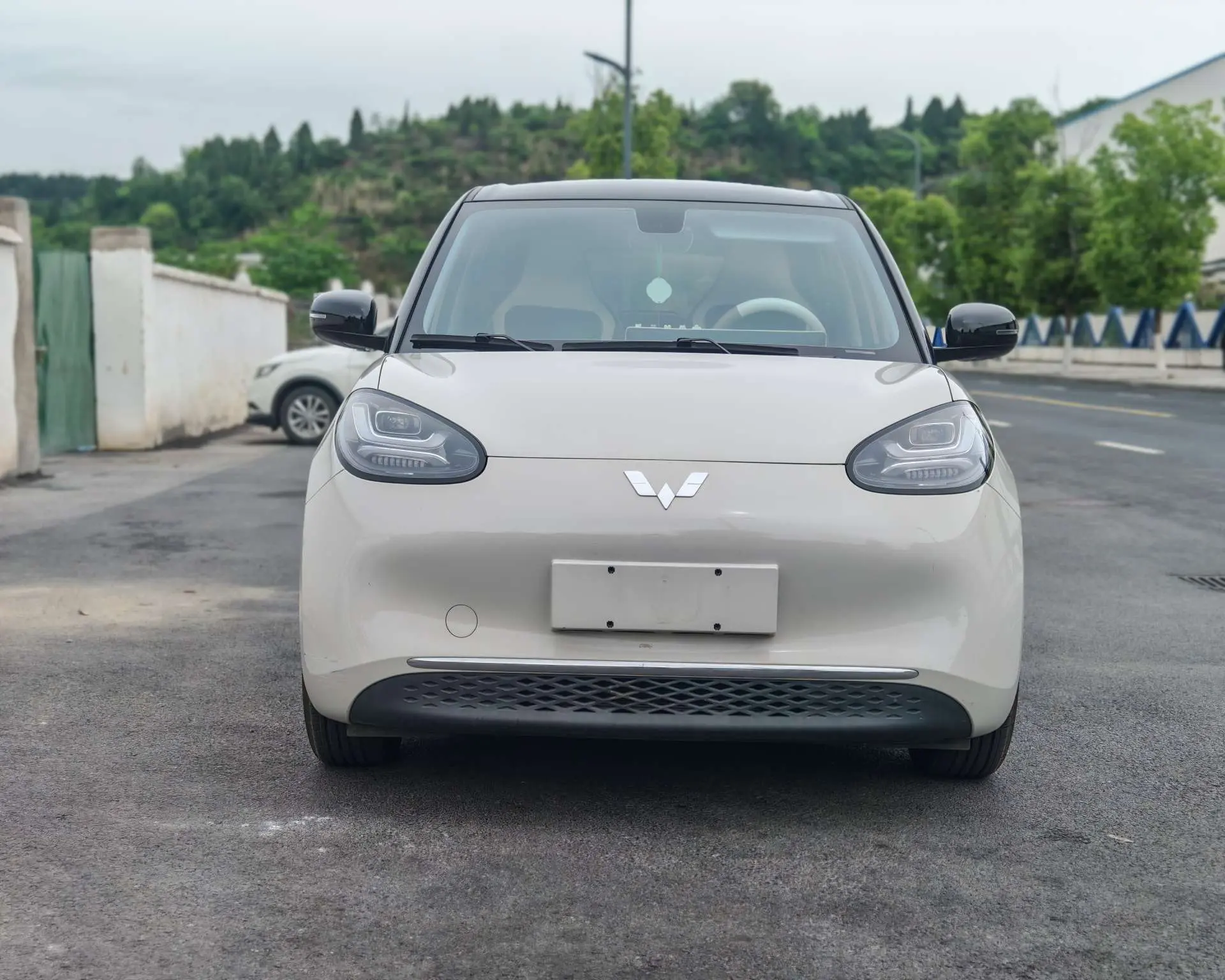 Wuling Bingo