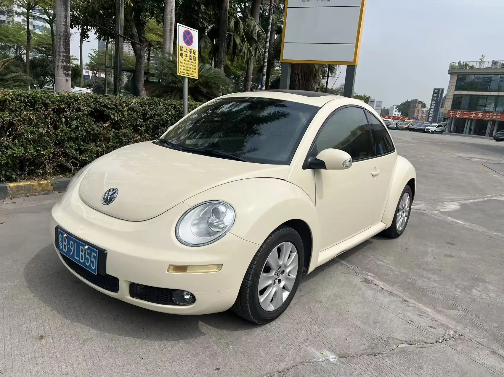 Volkswagen Beetle
