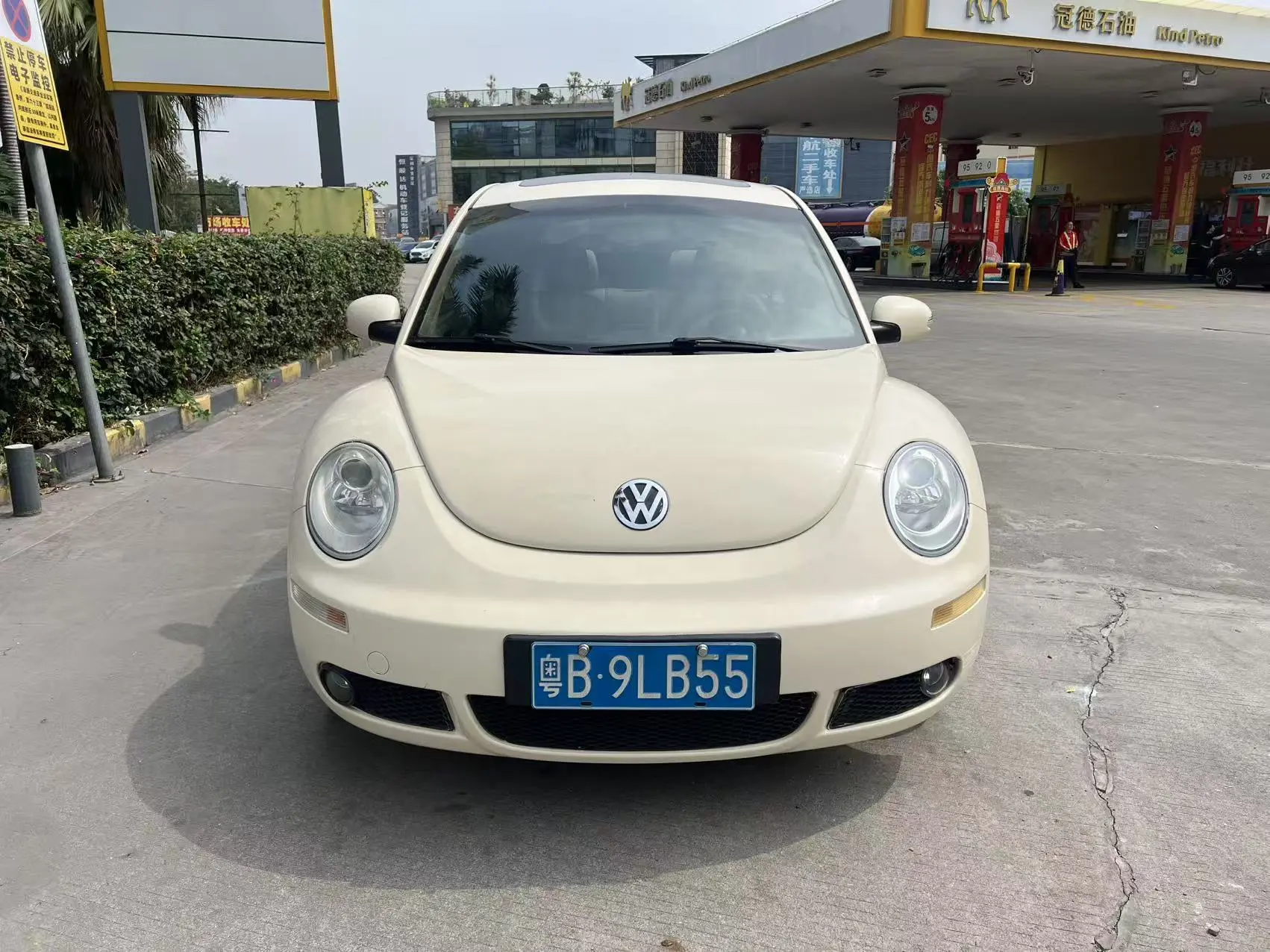Volkswagen Beetle