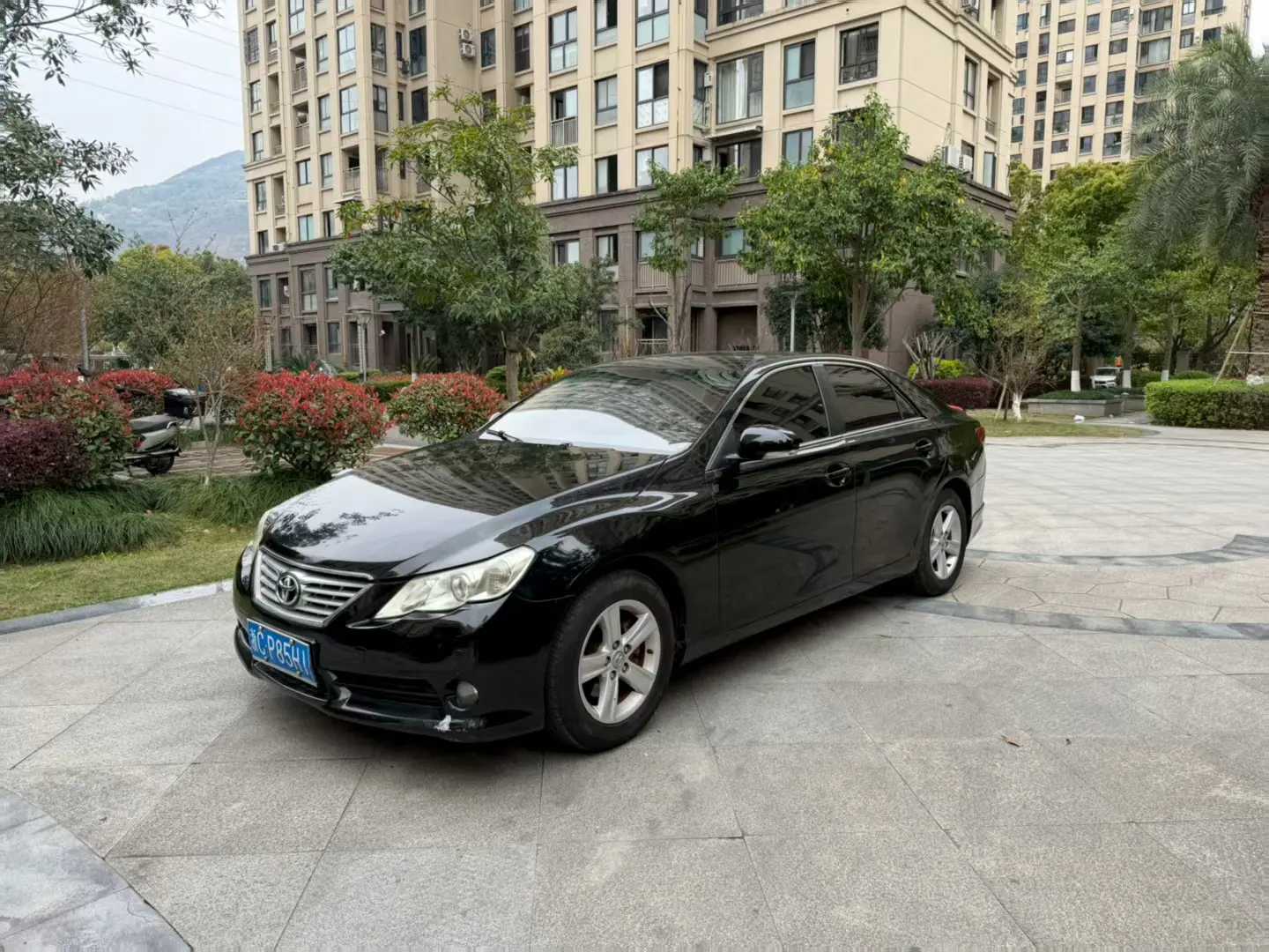 Toyota Ruizhi