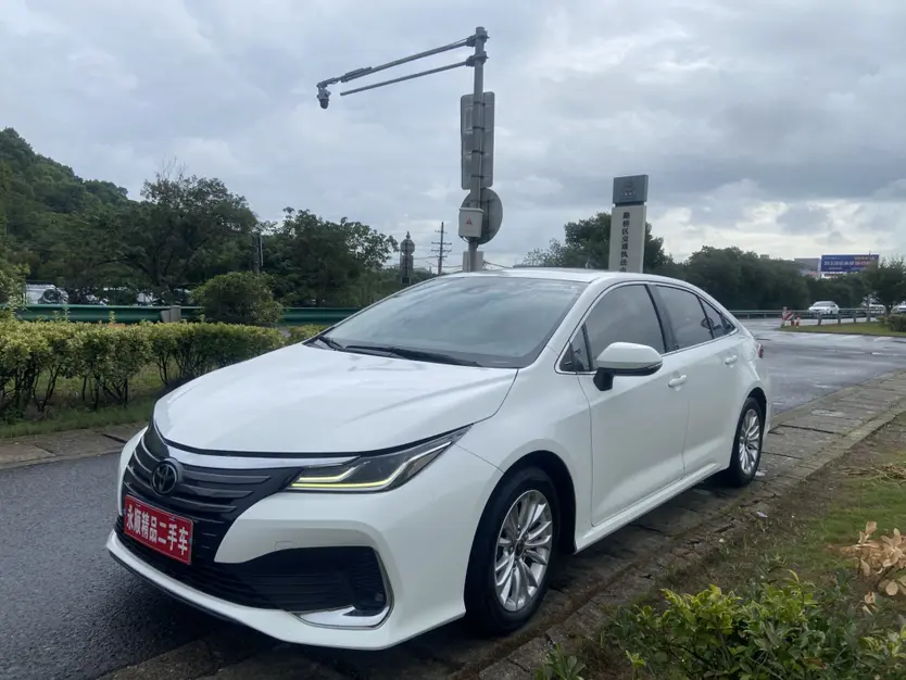 Toyota Asiatic lion
