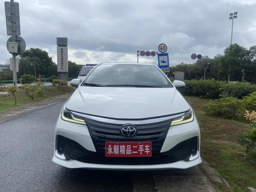 Toyota Asiatic lion