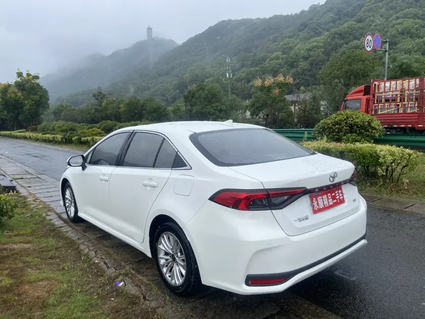 Toyota Asiatic lion