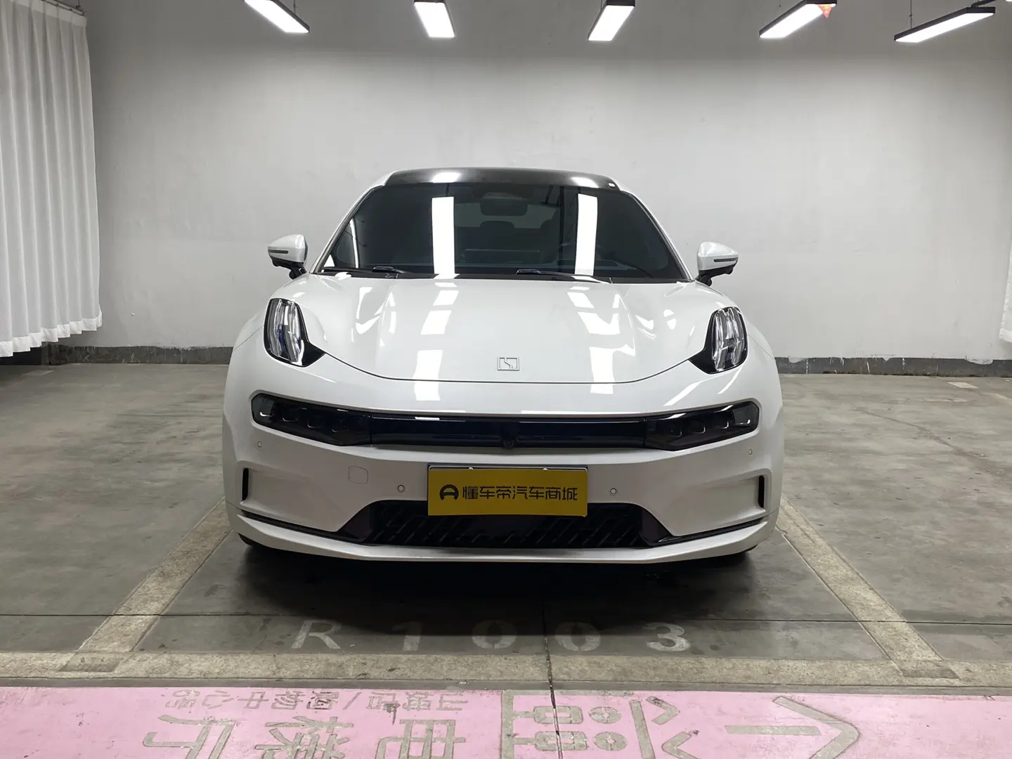 ZEEKR 001