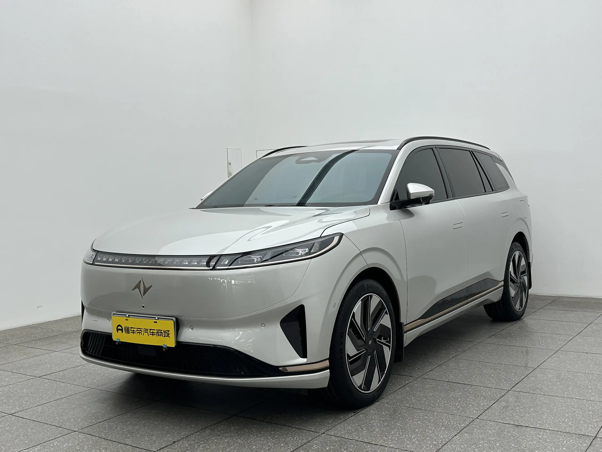Dongfeng Yipai 008
