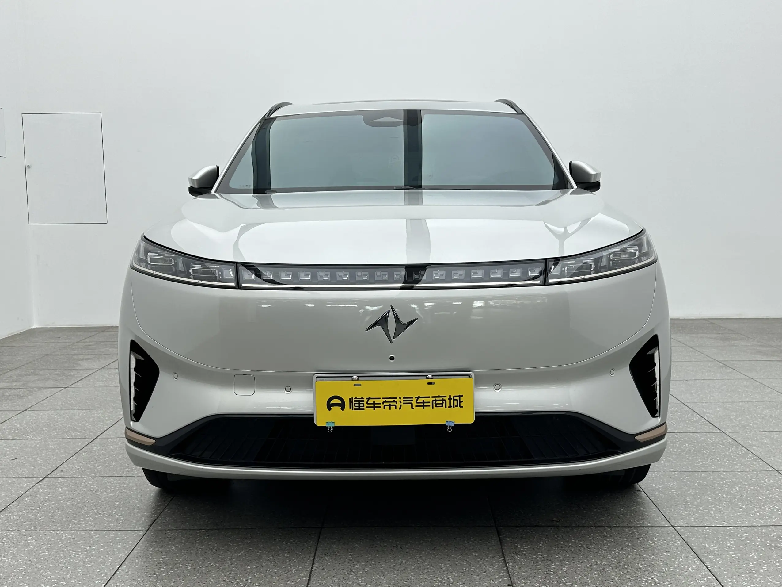 Dongfeng Yipai 008