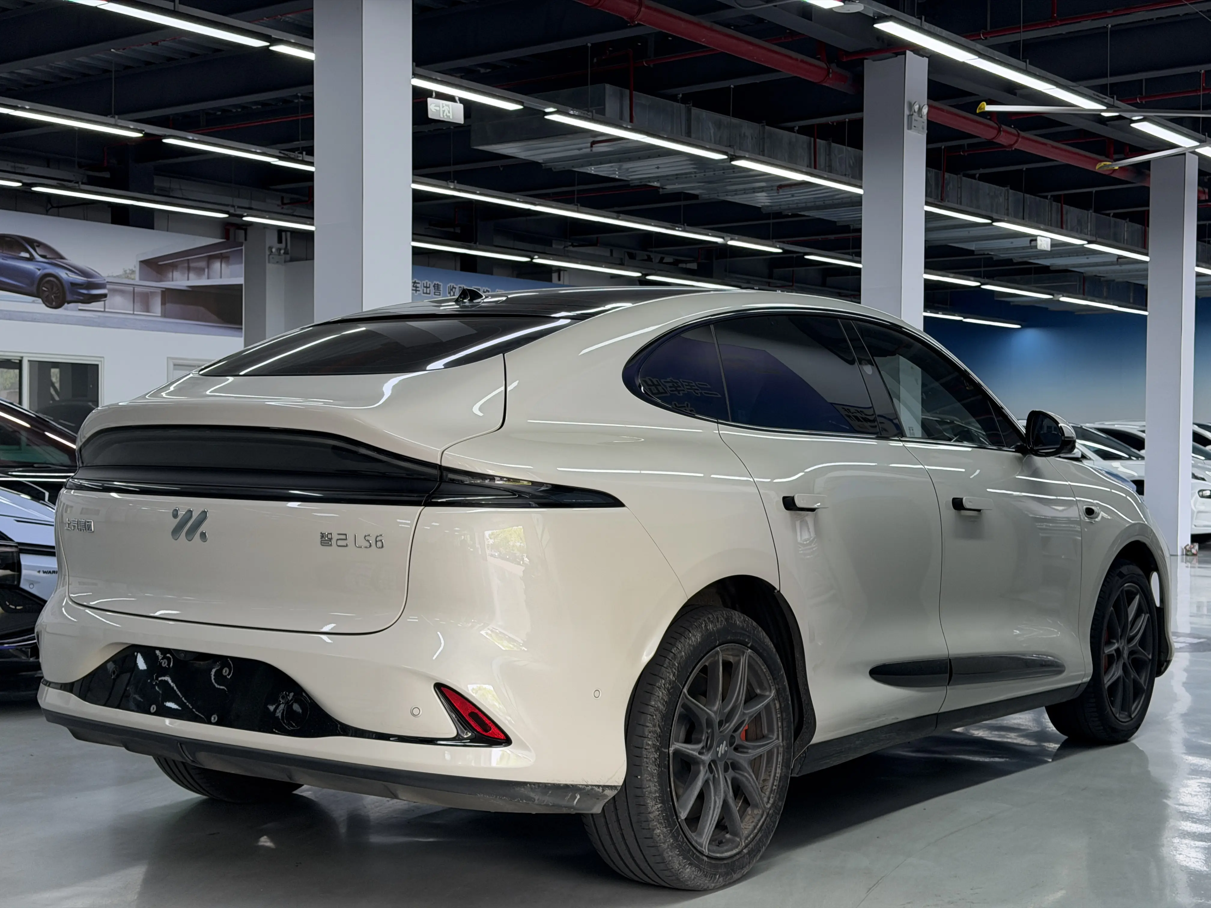IM Motors LS6
