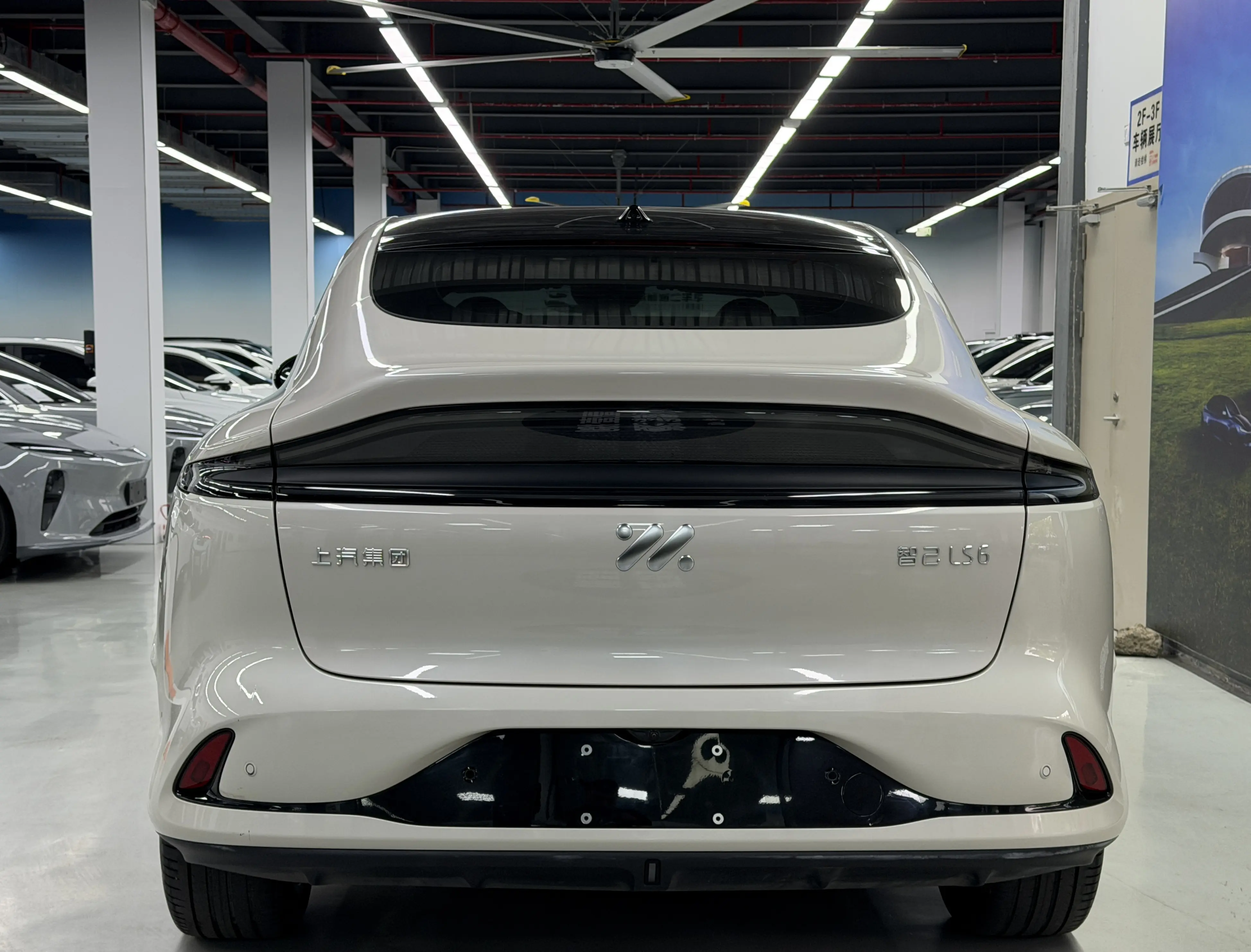 IM Motors LS6