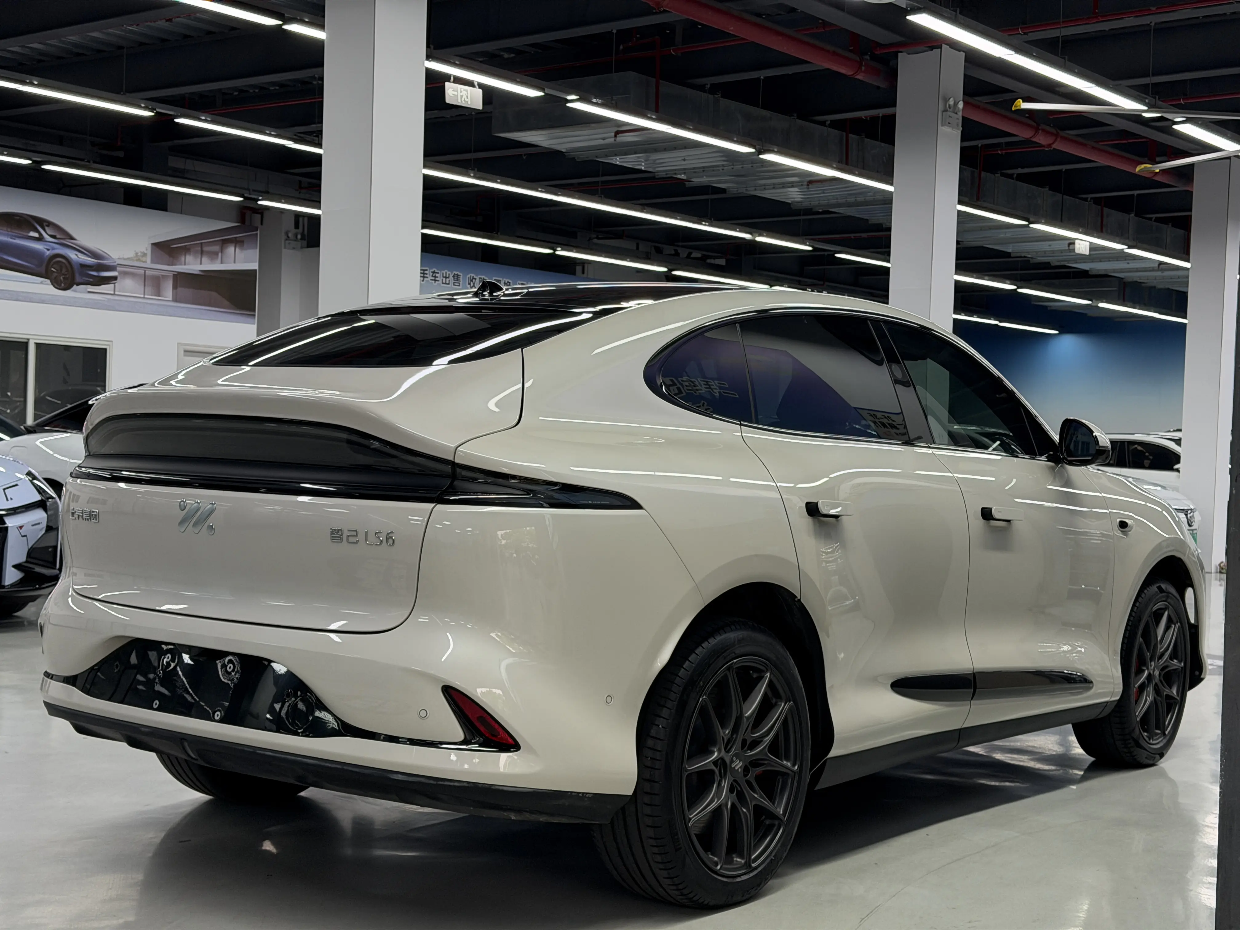 IM Motors LS6